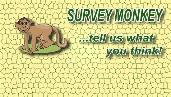 surveyslide