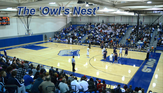 12.18.11.owlsnest