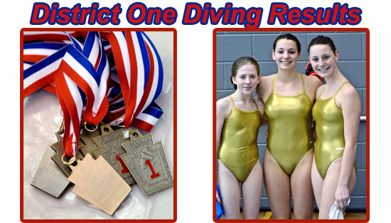02.26.12.sw_.diving_girls