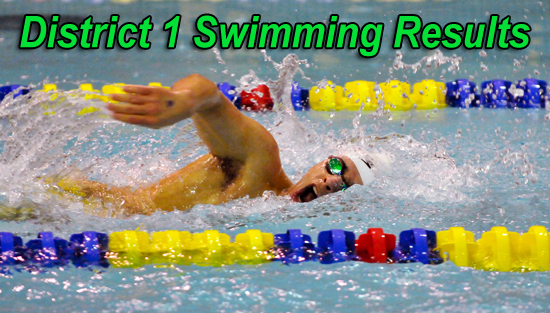 03.01.12.sw_.dist_.results
