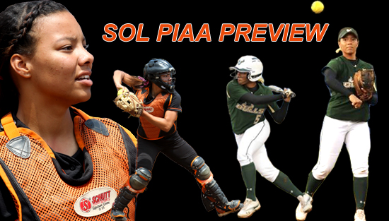 06.06.12.soft_.piaa_.prev_
