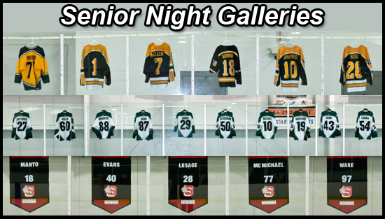 01.04.13.sr_.night_