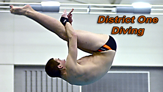 02.22.13.diving.results