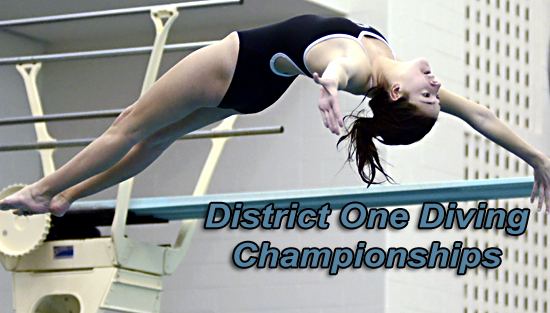 02.23.13.gsw_.d1.diving.ch_.3