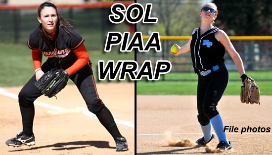 06.03.13.soft_.piaa_.wrap_