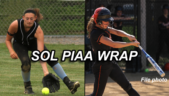 06.06.13.soft_.piaa_.wrap_