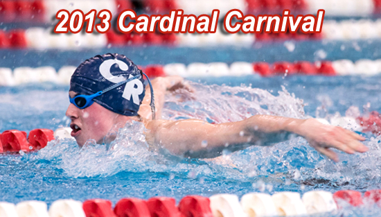 12.21.13.sw_.card_.carnival2