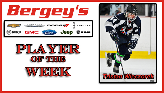 01.28.14.ih_.berg_.player.wk_
