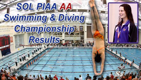 03.15.14.sw_.piaa_.aa_.results.3