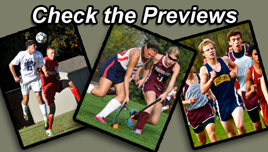 08.25.14.fall_.previews