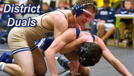 01.31.10.dist_.duals_