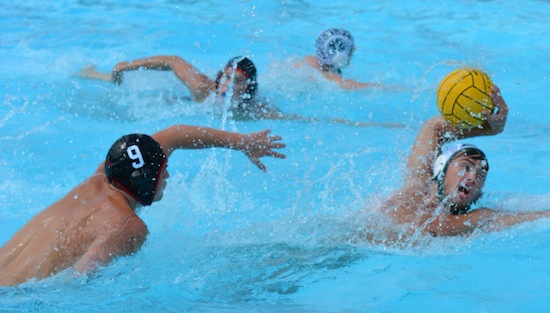 9-17-15_waterpolo_boys_prvsspr