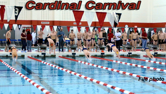 12-19-15_swimming_cardinalcarn_slide-1