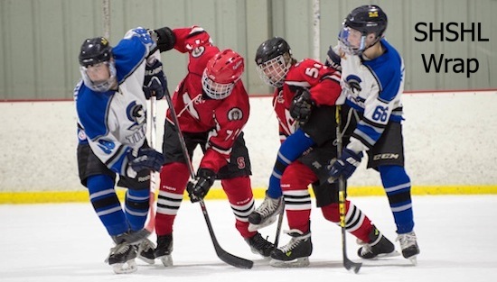 02-22-16_icehockey_wrap_slide