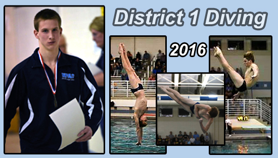 02.26.16.dist_.diving.boys_