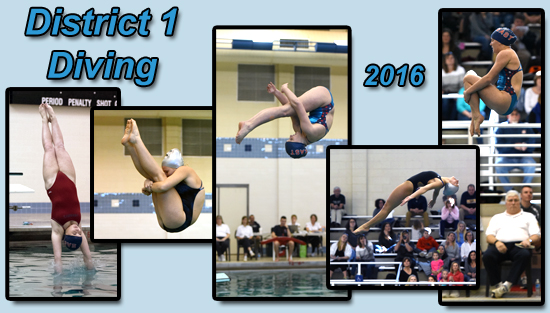 02.28.16.diving.girls_