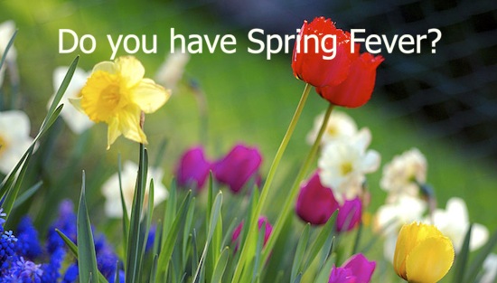 03-22-16_univest_spring_fever_slide