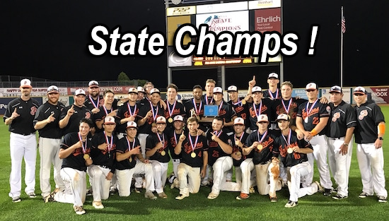 06-16-17_baseball_piaa_champions_slide