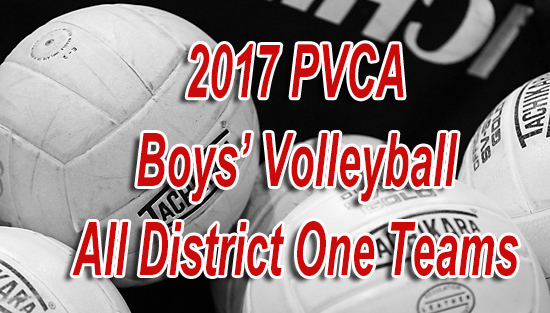 06-20-17_volleyball_pvca_district_teams_slide