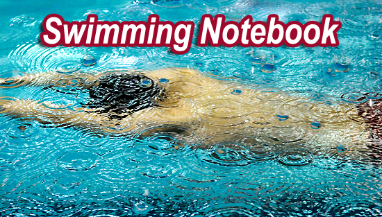 02-08-18_swimming_notebook_slide