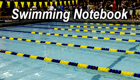 02-22-18_swimming_notebook_slide