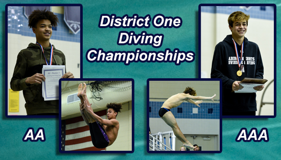 02.21.20.D1.Diving